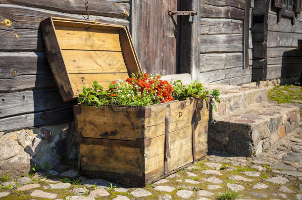 装满鲜花的旧木制宝箱。