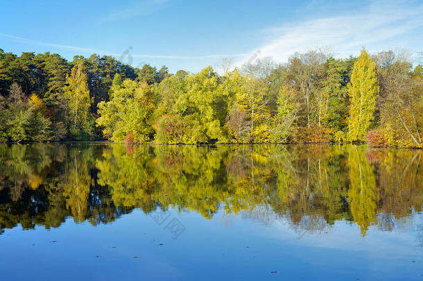 秋天湖畔的树木