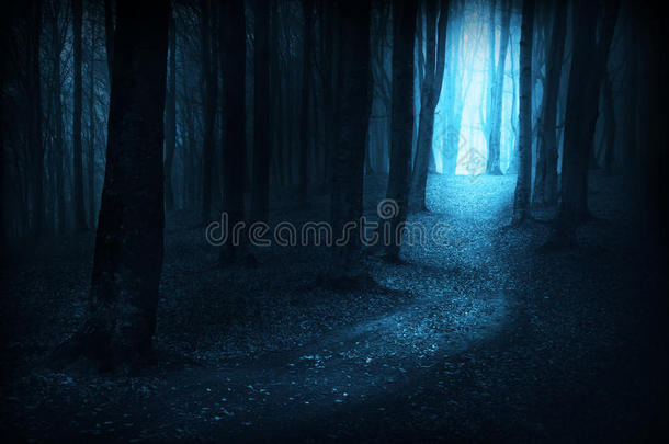 秋天雾天的黑暗小径进入森林