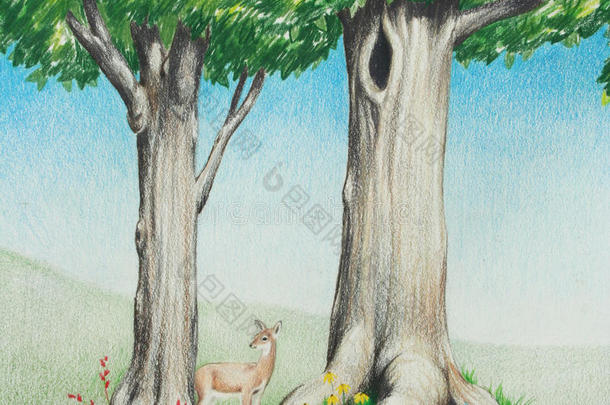 森林中的鹿或小鹿手绘插图