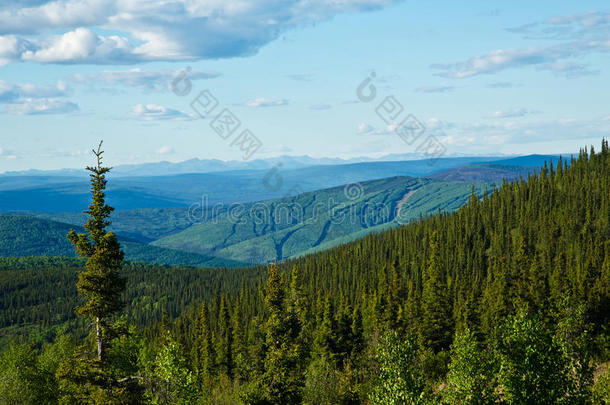 阿拉斯加白山美景