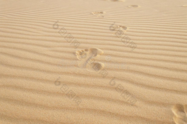 沙滩上的脚印。白色沙丘。梅妮。