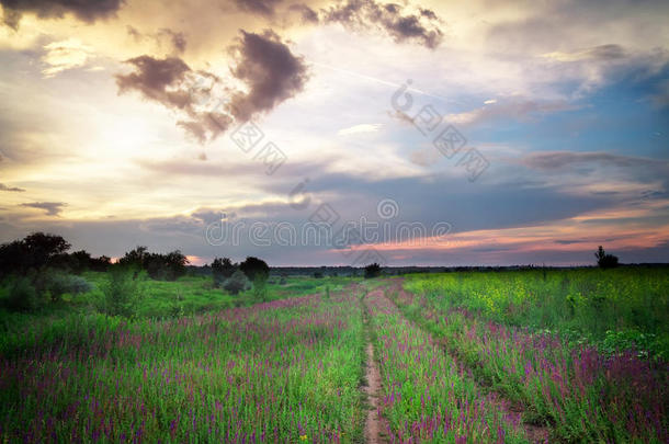 有花、有路、有云的美丽风景。