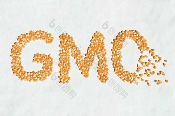 破碎的转基因玉米词