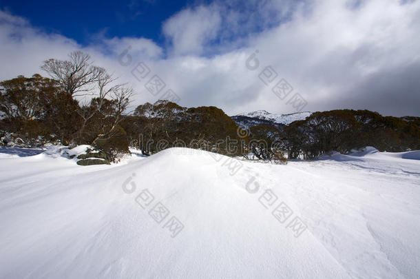 冬季雪景