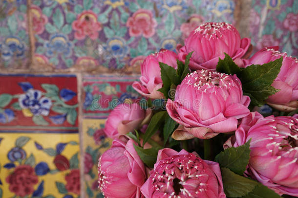 粉红莲花，美丽的墙壁