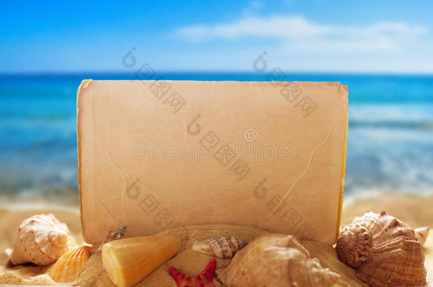沙滩上有贝壳的白纸