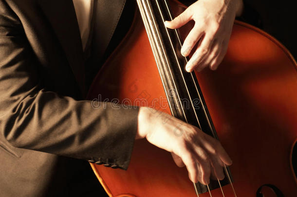 男低音提琴细节