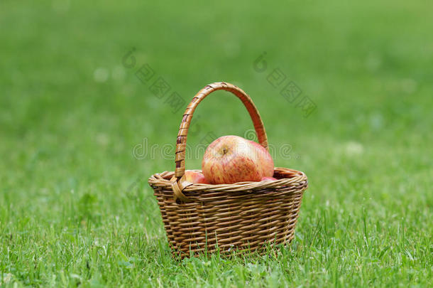 柳条篮子里装满了喜庆的苹果