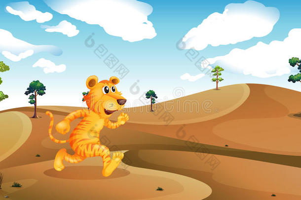 在沙漠中奔跑的老虎