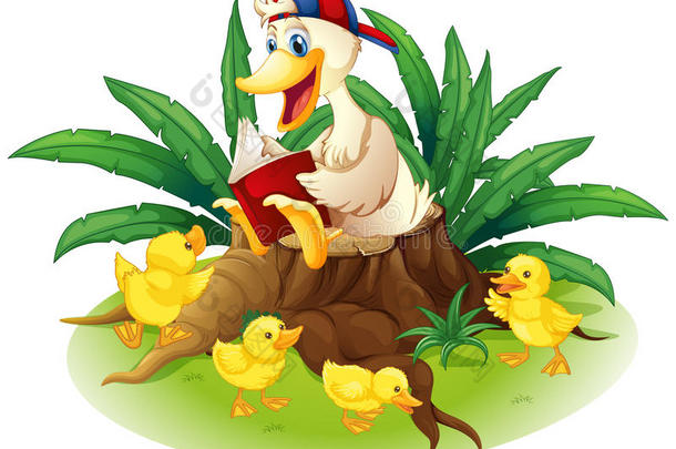 一只鸭子和她的小鸭在树桩上读书