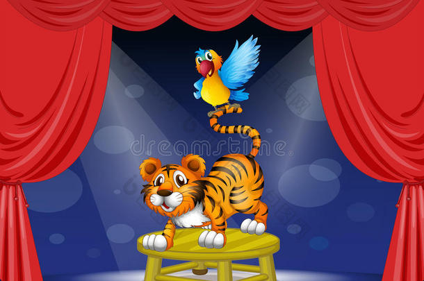 一只老虎和一只彩色鹦鹉在舞台上表演
