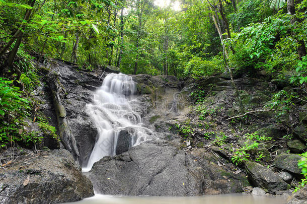 热带雨林丛林中的瀑布。泰国自然