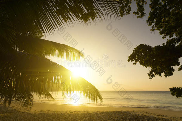 塞舌尔<strong>马赫</strong>岛。日落海滩。棕榈树。