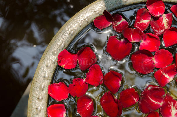 玫瑰花瓣漂浮在水面上