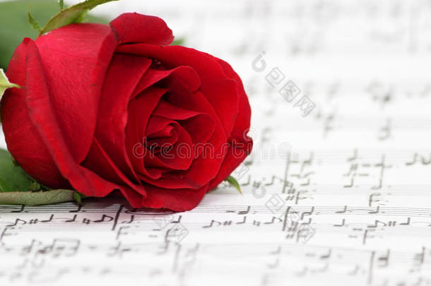 <strong>浪漫音乐</strong>，玫瑰，钢琴曲