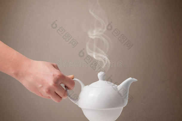 白蒸茶壶