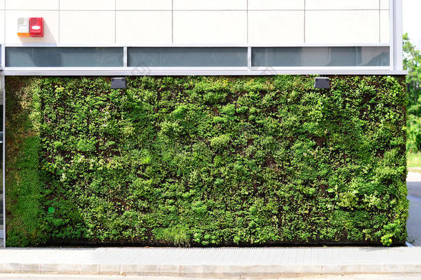 绿墙建筑