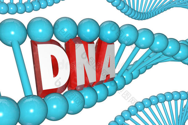 dna单链遗传学遗传医学研究