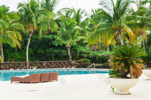 豪华酒店室外度假游泳池。海边豪华度假村的游泳池。热带天堂。游泳池