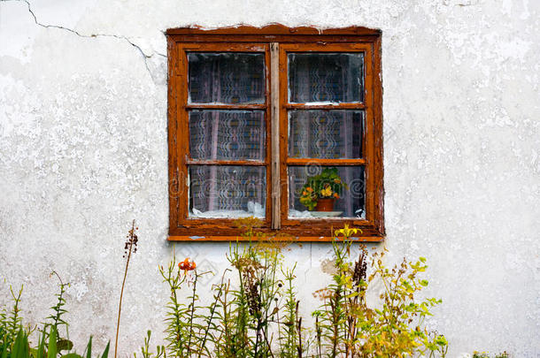 窗老园景墙野