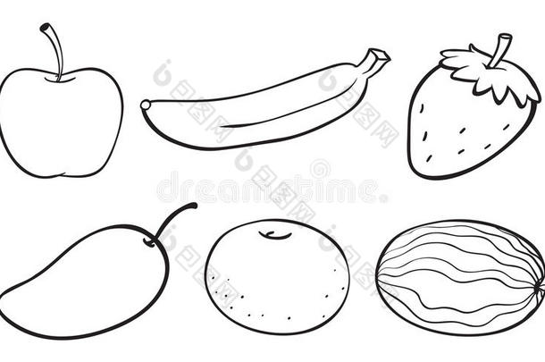 各种水果的素描