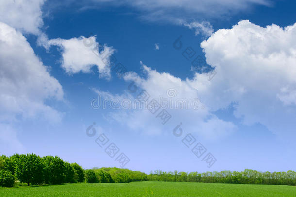 广袤的绿草、森林和蓝天白云