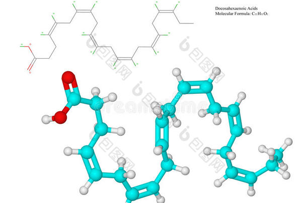 ω-3脂肪酸（dha）