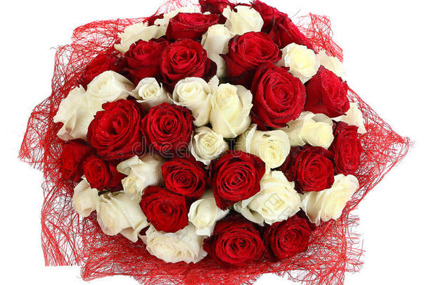 白玫瑰和红玫瑰的植物区系。白玫瑰和红玫瑰的花组成。花卉成分