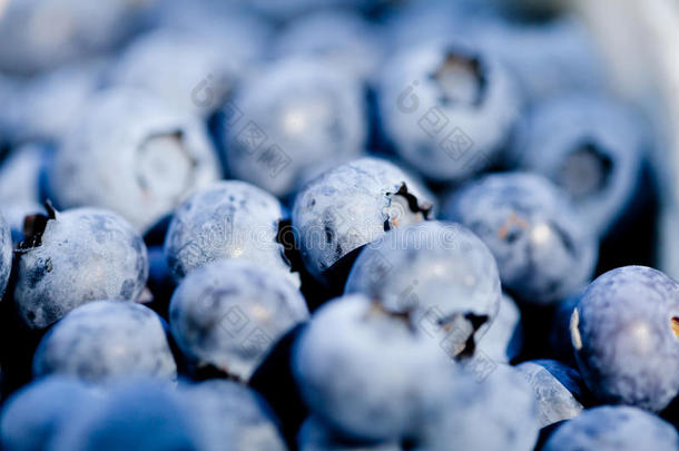 健康新鲜蓝莓<strong>大特写</strong>户外市场