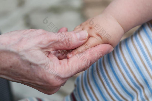 小孙子和老奶奶的手，家庭观念