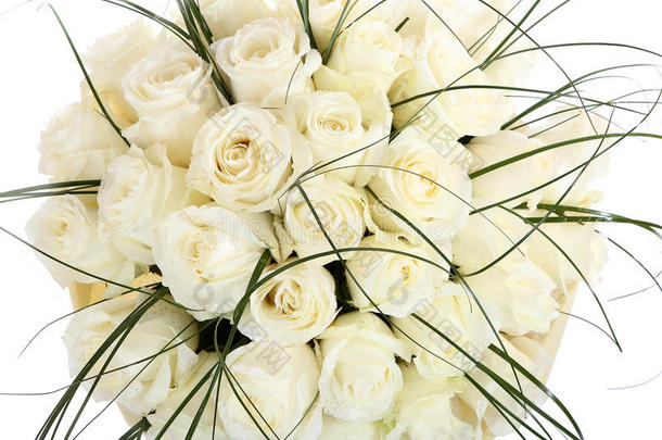 一束巨大的白玫瑰。 白色背景上的孤立图像。 奶油色玫瑰。