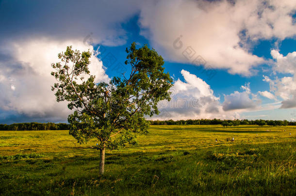 雪兰多国家公园大草地上的黄昏云