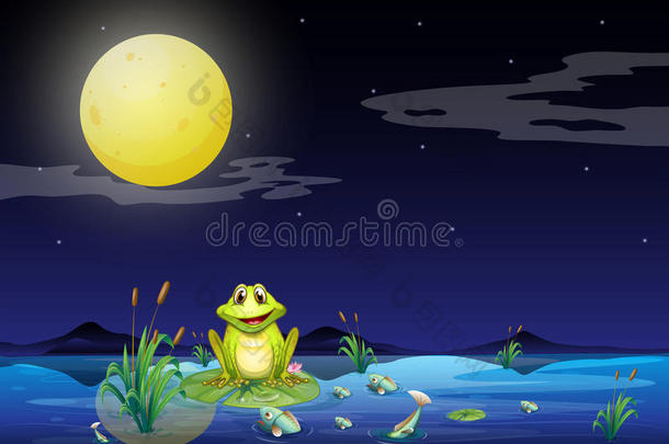 月圆时湖边的青蛙和鱼