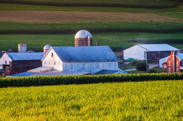 宾夕法尼亚州约克县农村农场的谷仓和房子