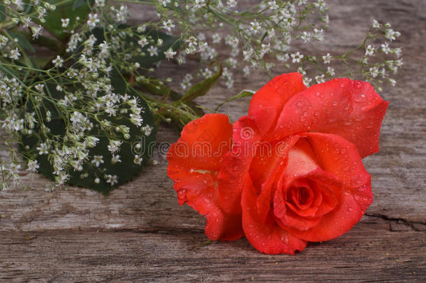<strong>满天星</strong>花架上的橙色玫瑰
