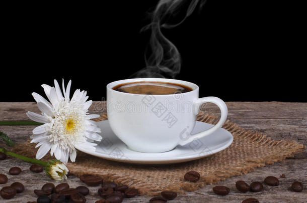 热咖啡白菊花