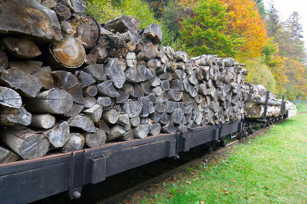 满载山毛榉树干的货运列车。