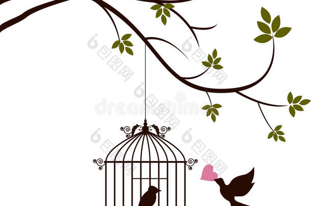 鸟儿给笼中的鸟儿带来了爱