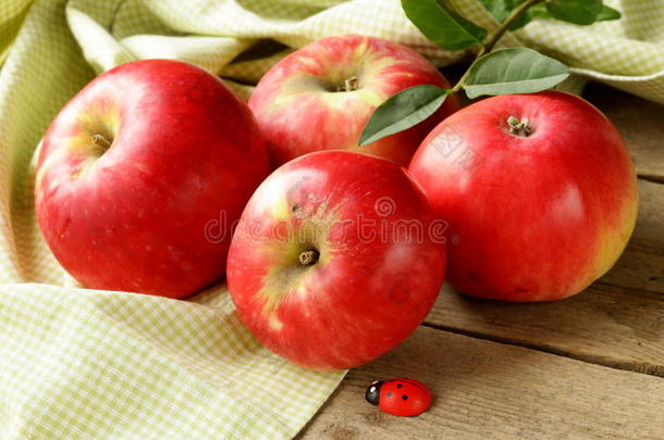 新鲜成熟的红苹果