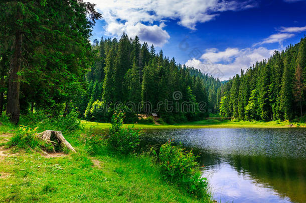 夏天湖边的夏日美景