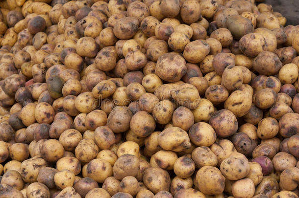厄瓜多尔农贸市场堆积<strong>如山</strong>的土豆