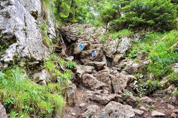 有标记的徒步旅行路线