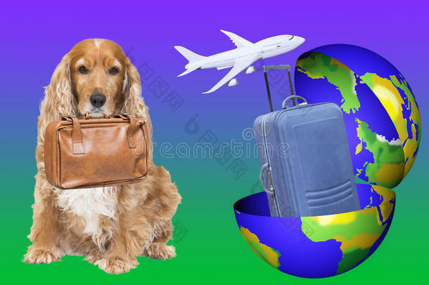 一个地球仪，带着一个手提箱和一只准备去旅行的狗