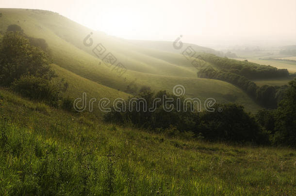 乡村丘陵上的夏日日出景观