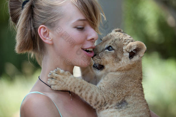 小狮子咬幼兽的女孩在玩耍