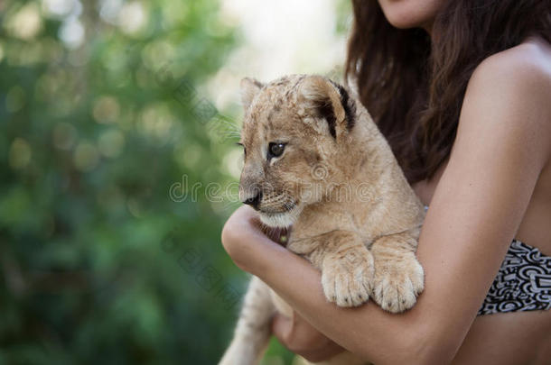 手抱小狮子的女孩