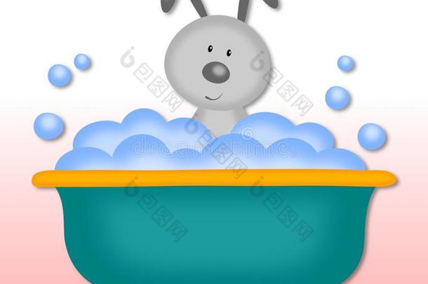 兔子洗澡