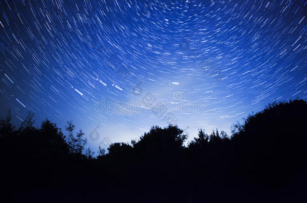 夜空、星光和森林