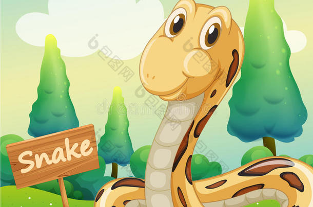 木牌旁的蛇